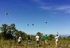 autore-Giuliana-Scofano-località-FuscaldoCS-didascalia-be-rural-be-happy-300x206